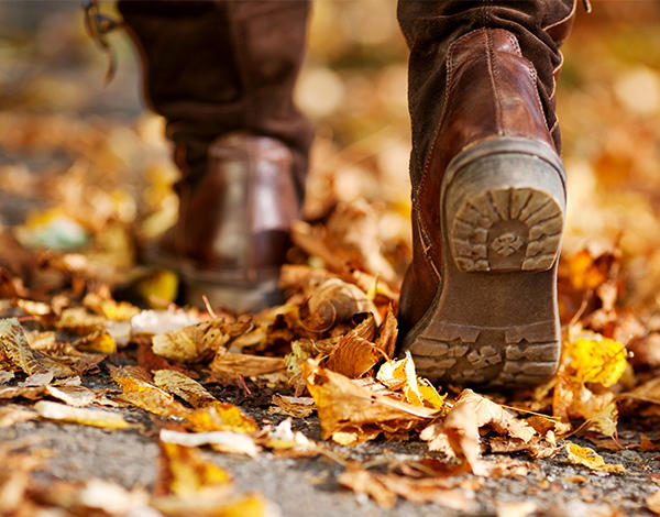 Autumn Escape